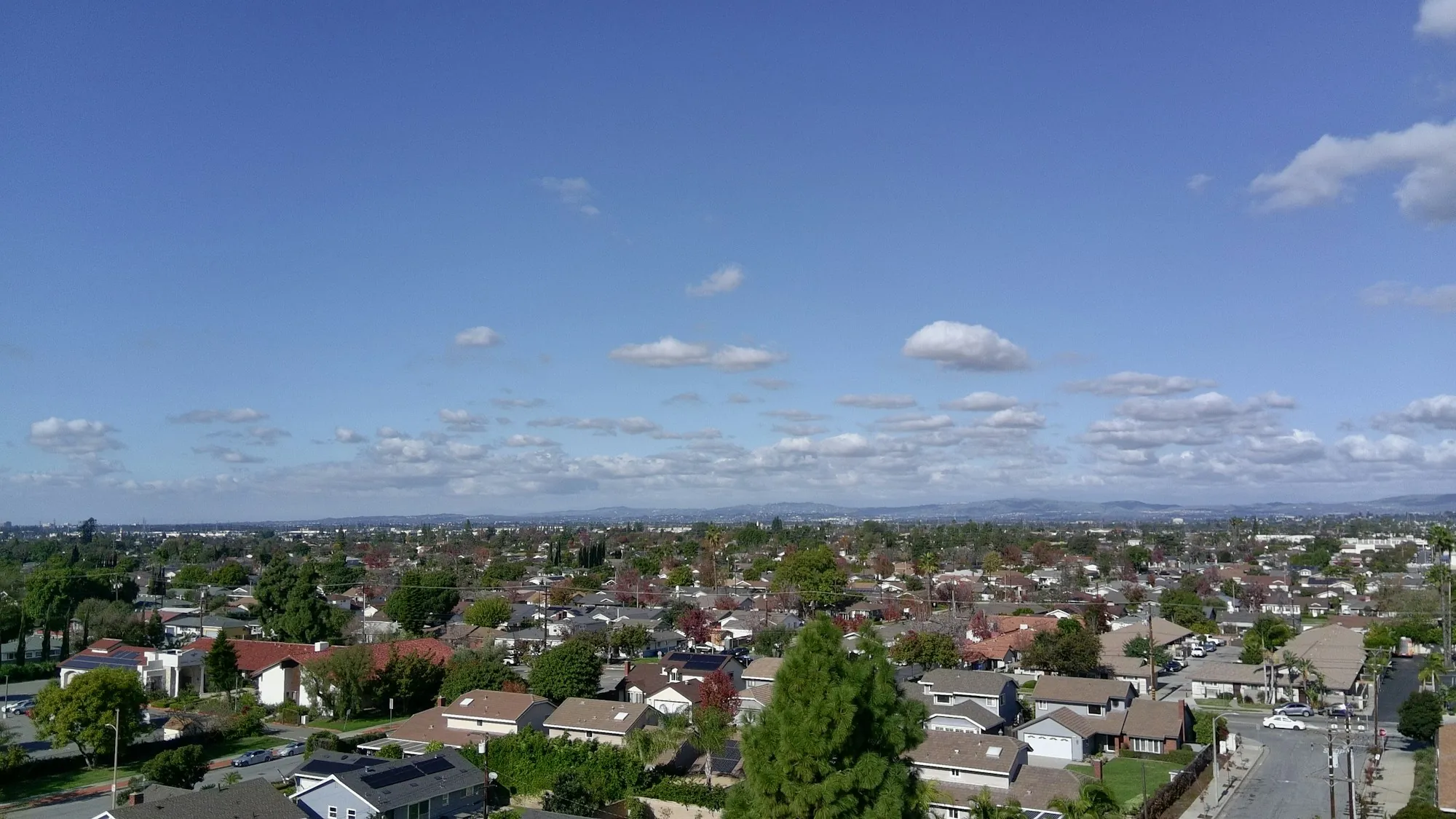 Suburban neighborhood under a bright blue sky