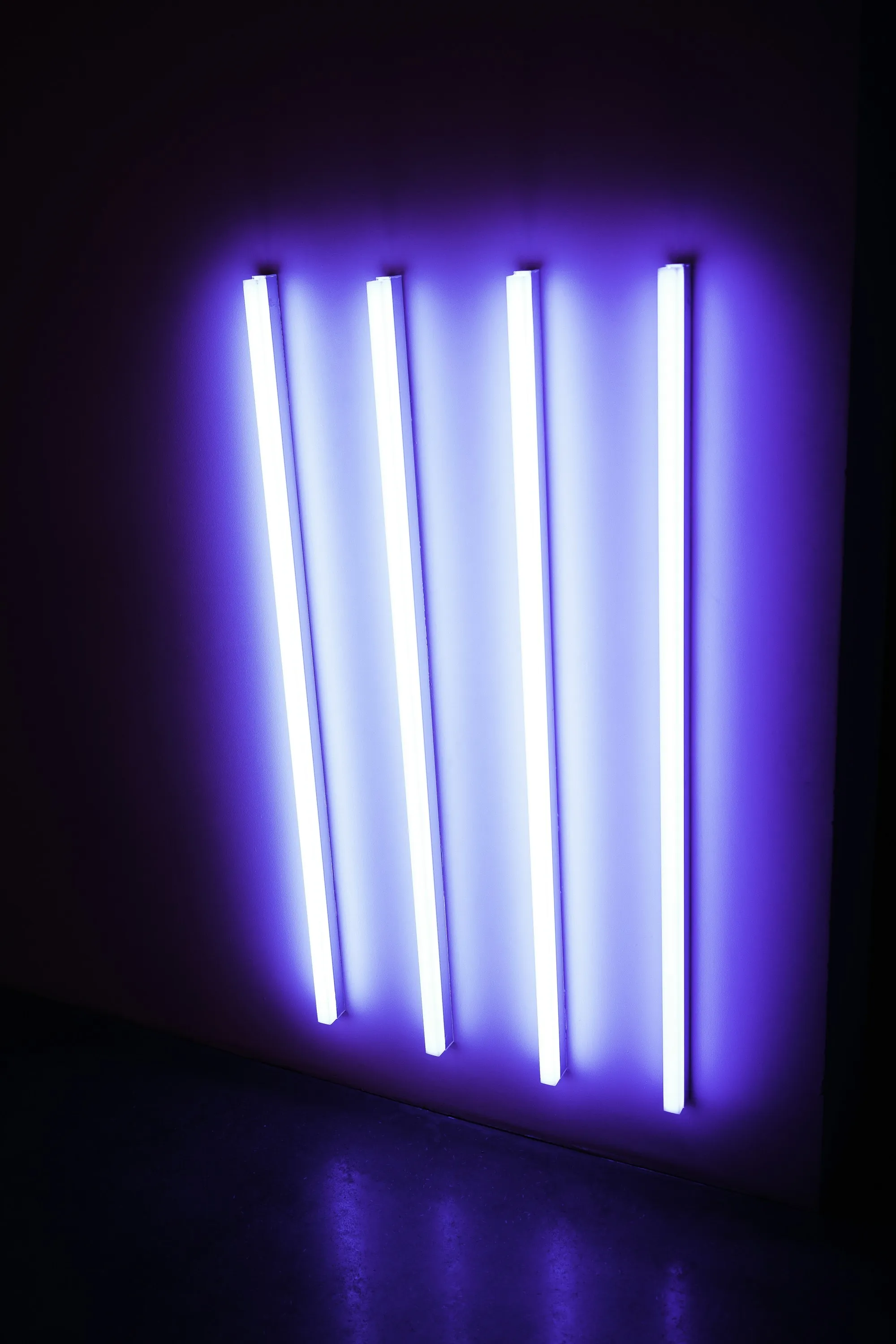 Four ultraviolet fluorescent lamps switched on