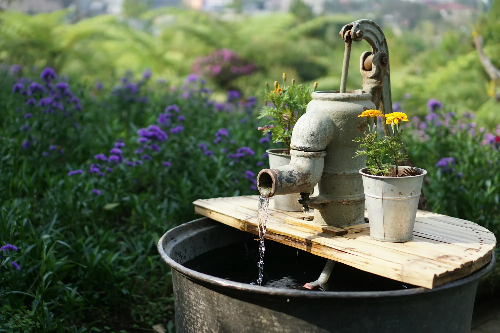 A deep well pump standing in a flower bed